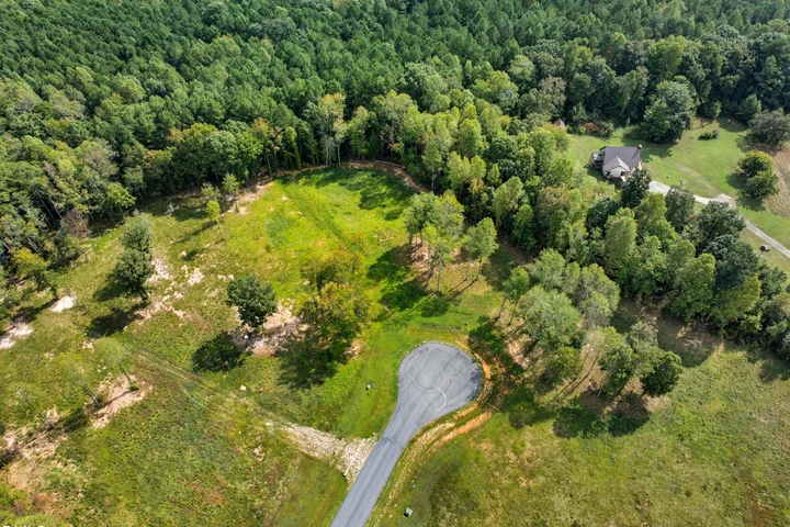 Treys Point-12 (1)