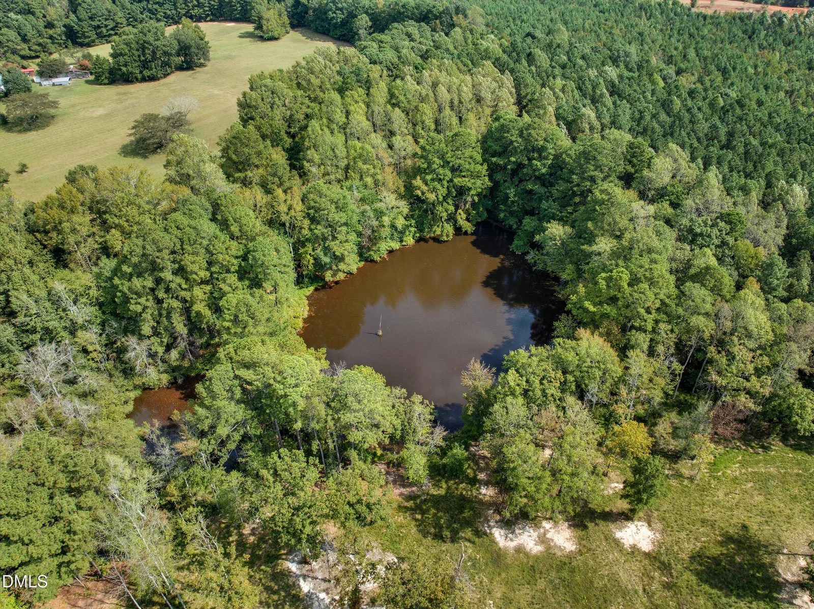 Treys Point-19 (1)